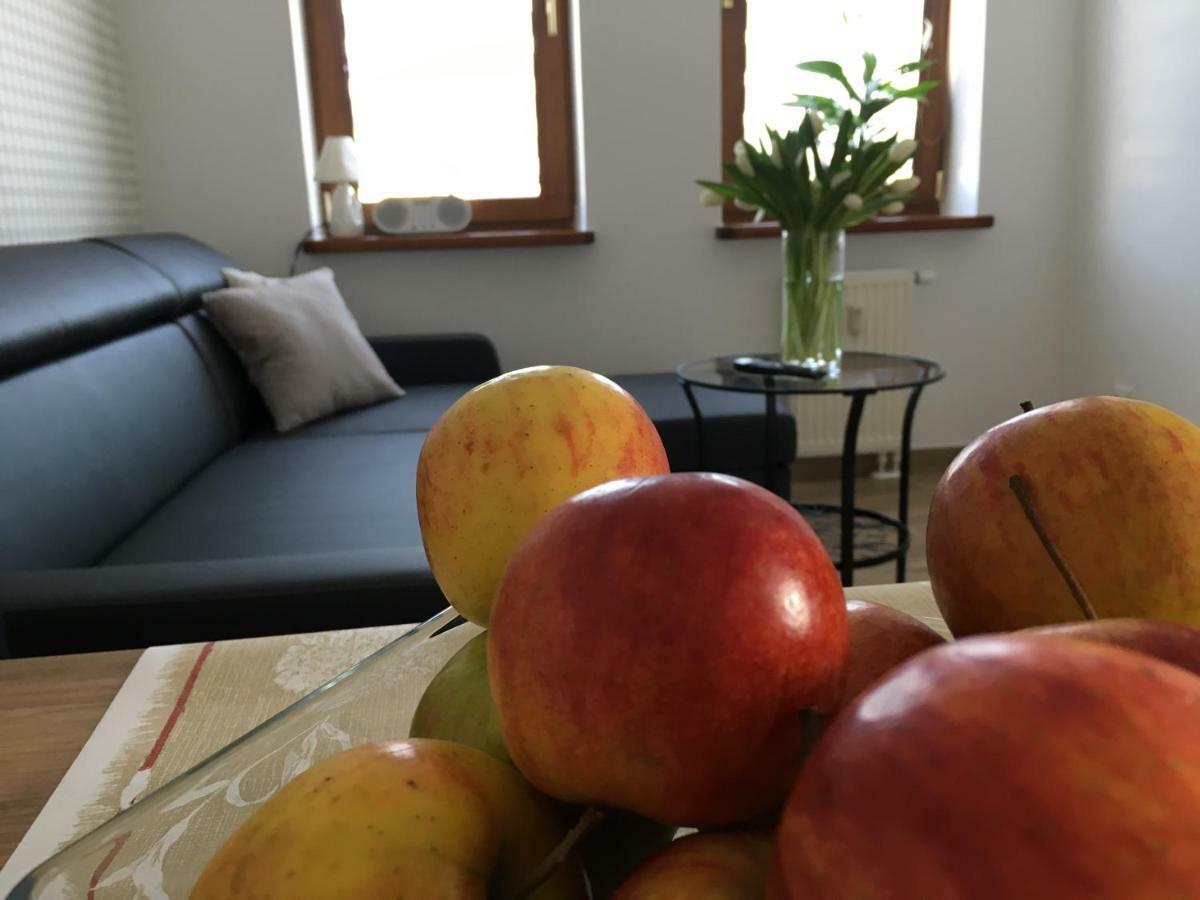Ap 8 Apartment Czestochowa